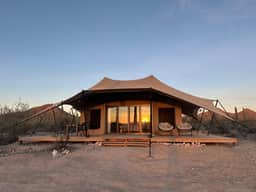 Tent Cholla, occupancy near Saguaro NP - Image 2