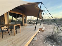 Tent Cholla, occupancy near Saguaro NP - Image 4