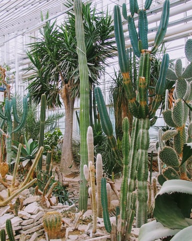 Image by Here To Travel