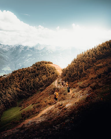 Image by Daniel J. Schwarz
