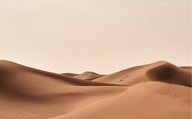 Rolling sand dunes with smooth curves under a pale beige sky