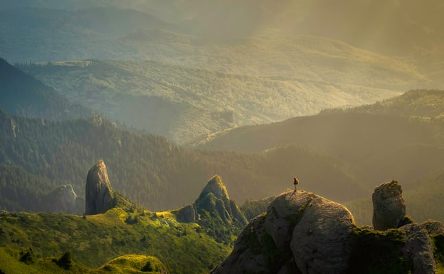 Hiker standing on rocky outcrop overlooking forested mountain valley with misty light